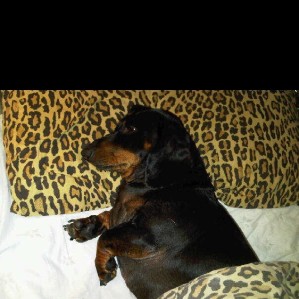 Meet your Posher, Kathleen